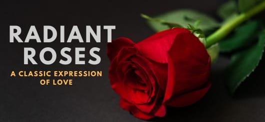 Lizz florist and gifts promo